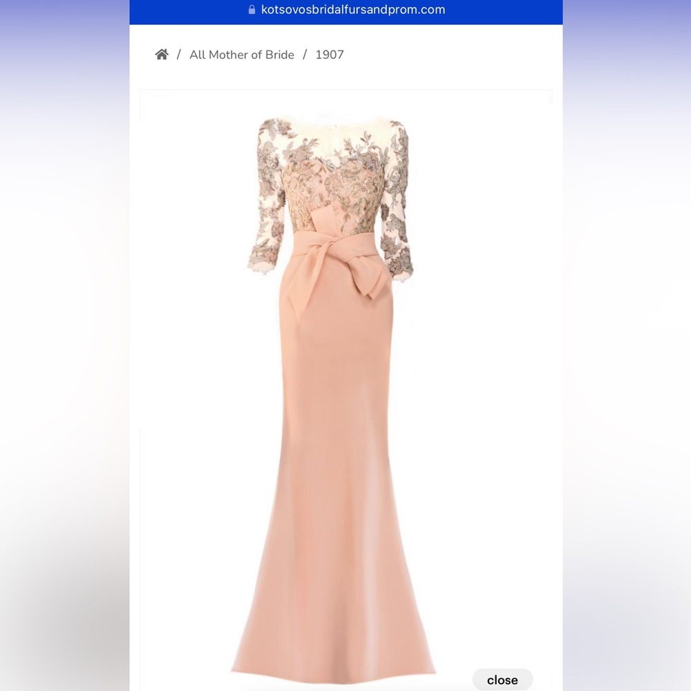 Stunning, gorgeous gown with lace and beaded bodice, mother of the bride/groom